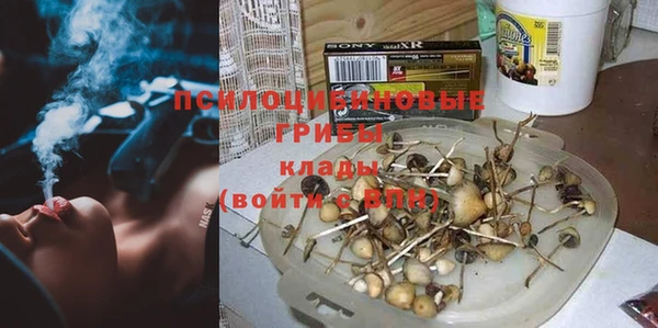 круглые Алзамай